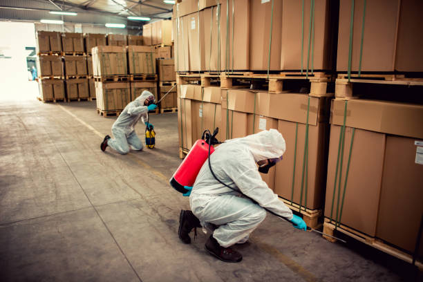 Best Cockroach Control Services  in Sarcoxie, MO