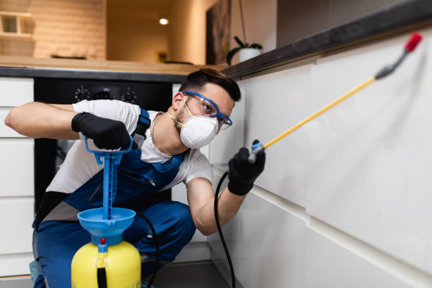 Best Bed Bug Extermination  in Sarcoxie, MO