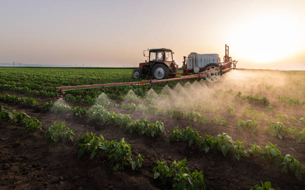 Reliable Sarcoxie, MO Pest Control Solutions