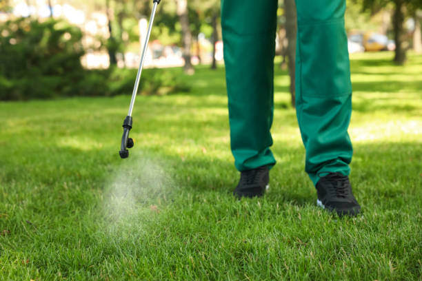 Best Affordable Pest Control Services  in Sarcoxie, MO