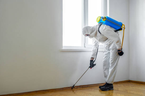 Best Best Pest Control Companies  in Sarcoxie, MO
