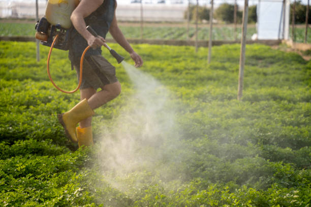 Best Exterminator Services  in Sarcoxie, MO