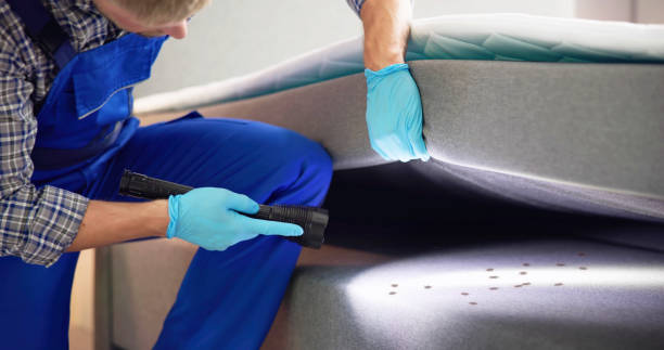 Best Flea Control Services  in Sarcoxie, MO
