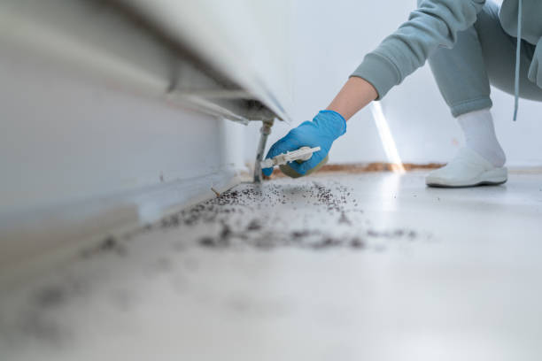 Best Best Pest Control Companies  in Sarcoxie, MO