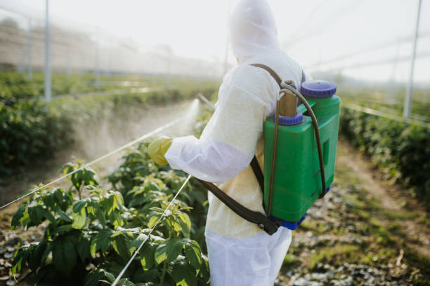 Best Pest Control Near Me in Sarcoxie, MO